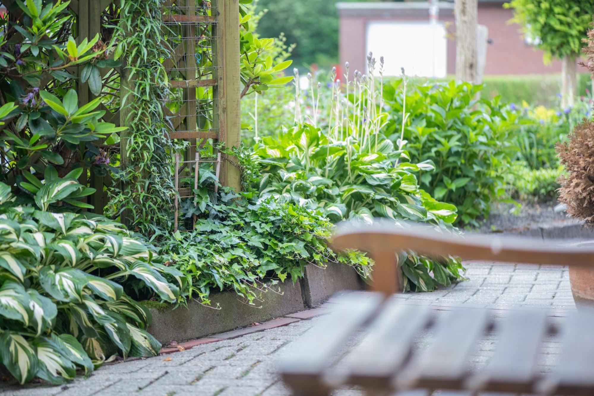 Ferienwohnung Pop S Huus 35226 Holtland エクステリア 写真