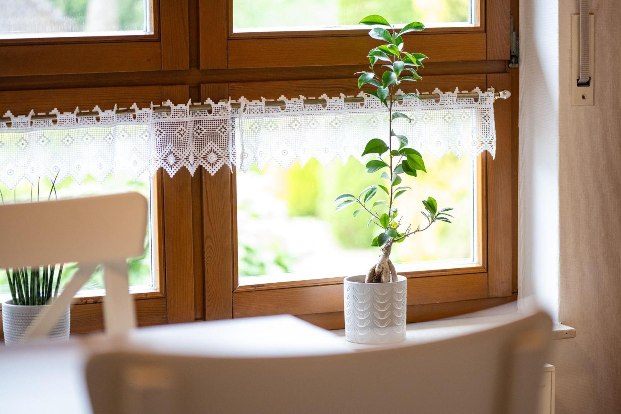 Ferienwohnung Pop S Huus 35226 Holtland エクステリア 写真